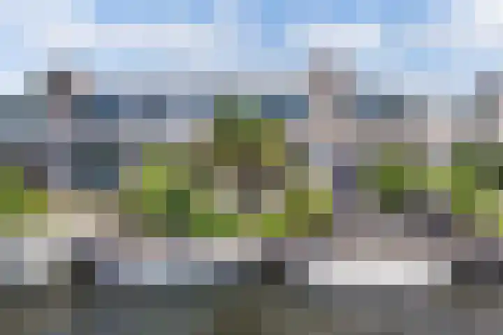 Het Brekkense Wiel 140 Lemmer thumbnail 31