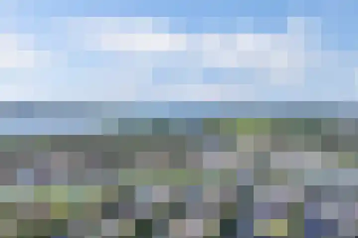 Het Brekkense Wiel 140 Lemmer thumbnail 33