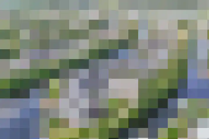 Het Brekkense Wiel 140 Lemmer thumbnail 34