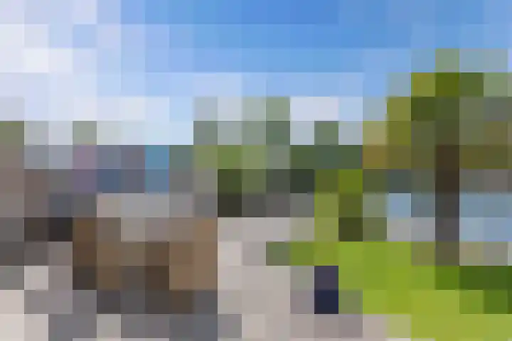 Het Brekkense Wiel 140 Lemmer thumbnail 36