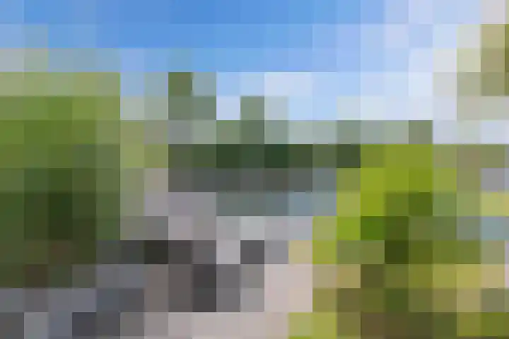Het Brekkense Wiel 140 Lemmer thumbnail 38