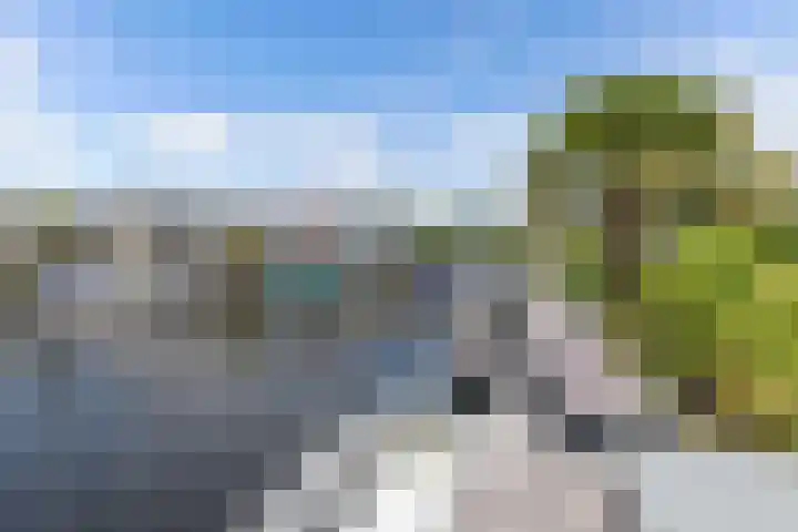 Het Brekkense Wiel 140 Lemmer thumbnail 39