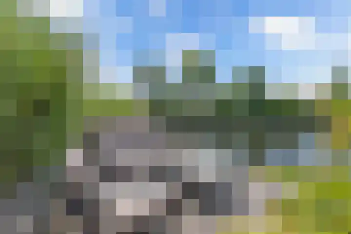 Het Brekkense Wiel 140 Lemmer thumbnail 40