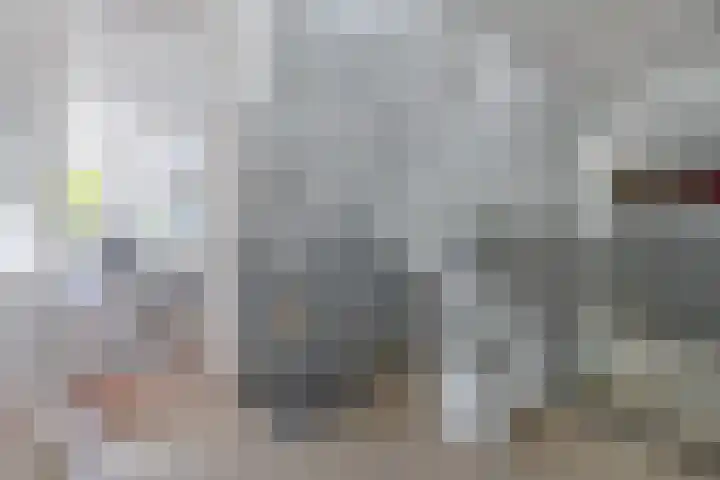 Het Brekkense Wiel 140 Lemmer thumbnail 7