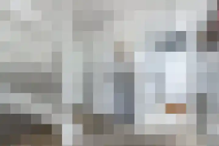 Het Brekkense Wiel 140 Lemmer thumbnail 8