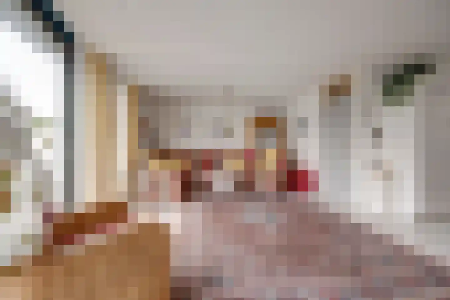 Het Brekkense Wiel 158 Lemmer thumbnail 7