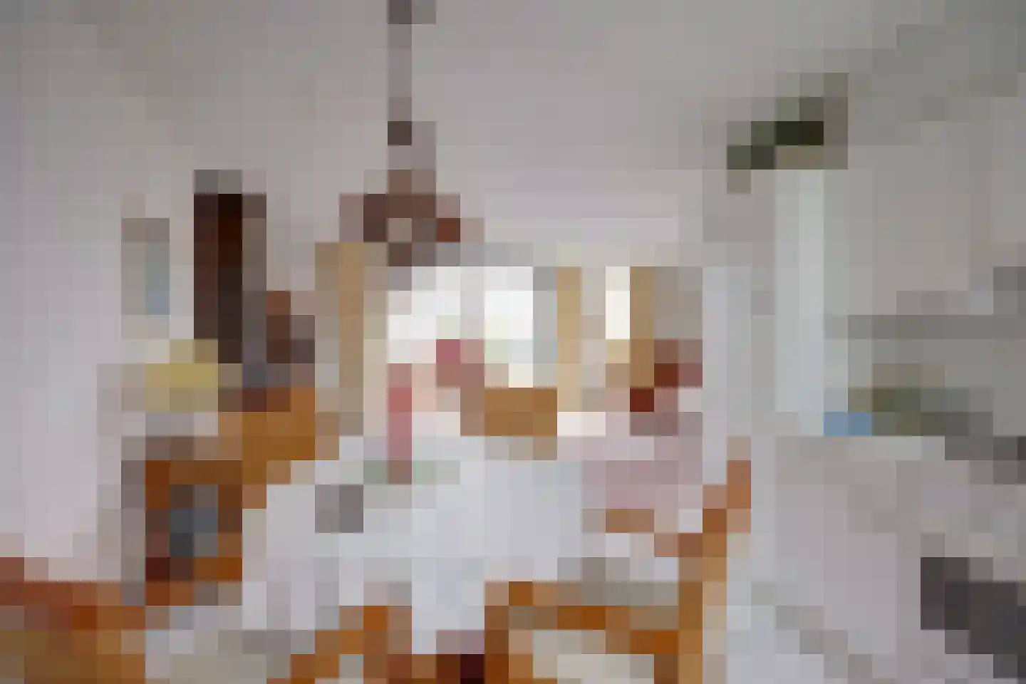 Het Brekkense Wiel 158 Lemmer thumbnail 8