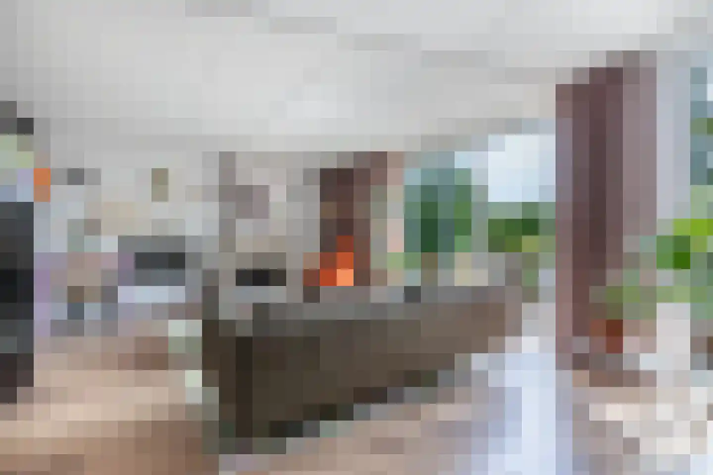Het Brekkense Wiel 160 Lemmer thumbnail 12