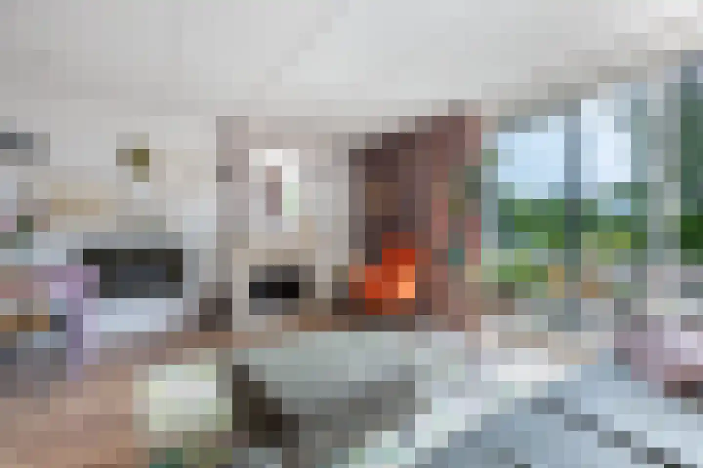 Het Brekkense Wiel 160 Lemmer thumbnail 13
