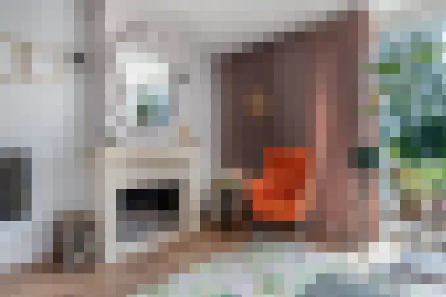 Het Brekkense Wiel 160 Lemmer thumbnail 14