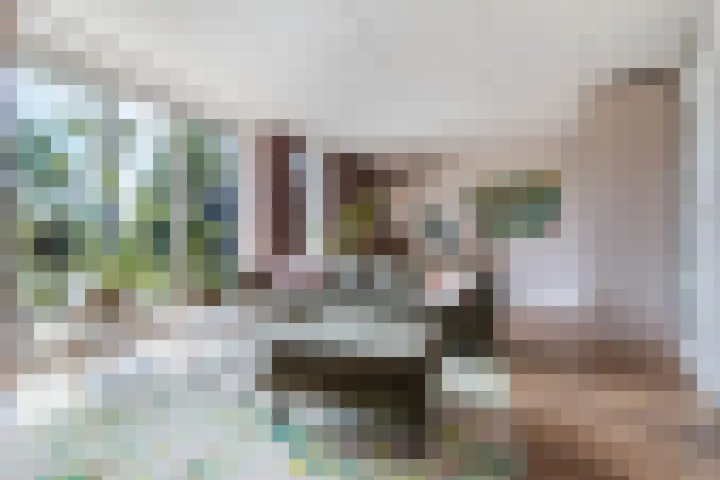 Het Brekkense Wiel 160 Lemmer thumbnail 16