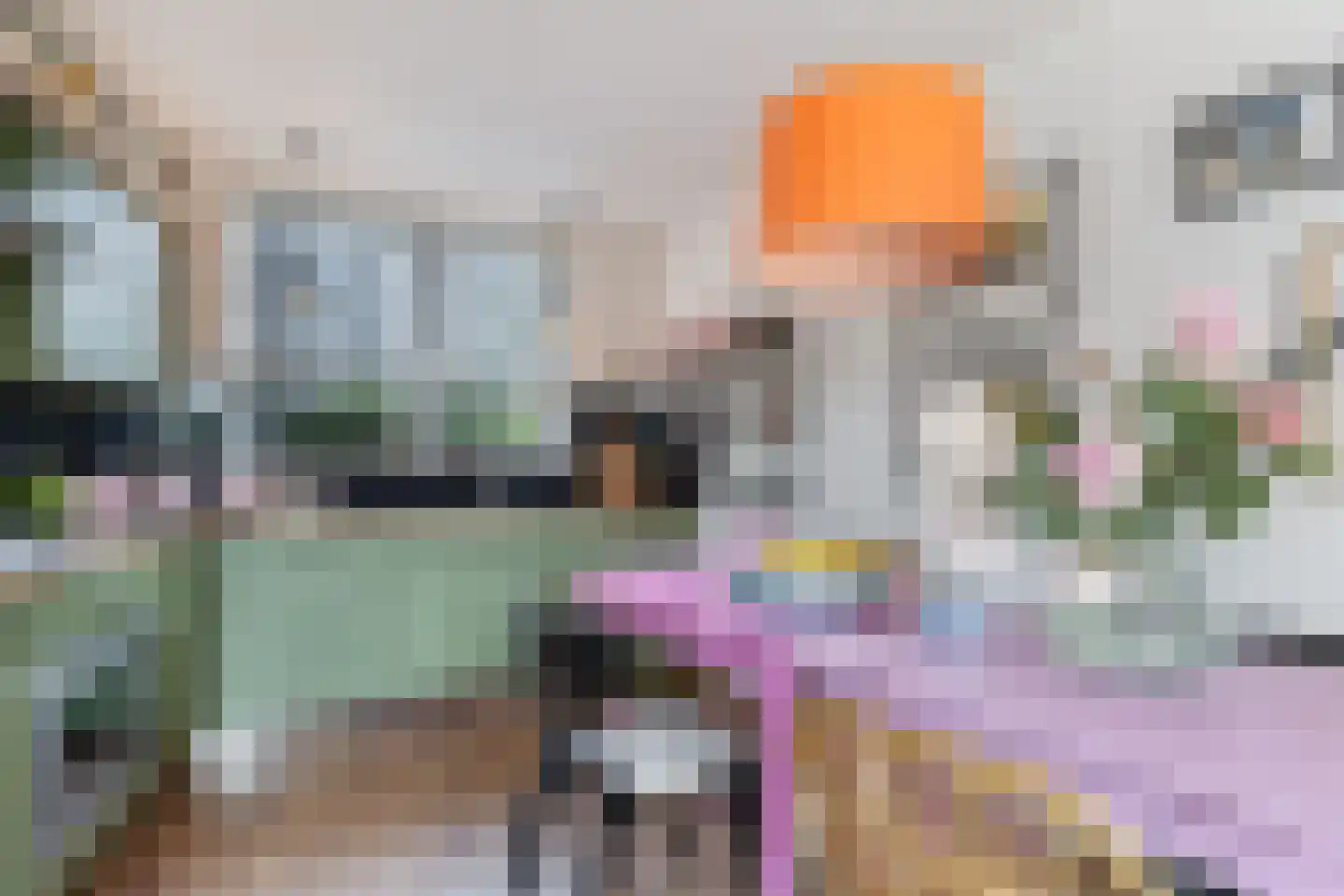 Het Brekkense Wiel 160 Lemmer thumbnail 19