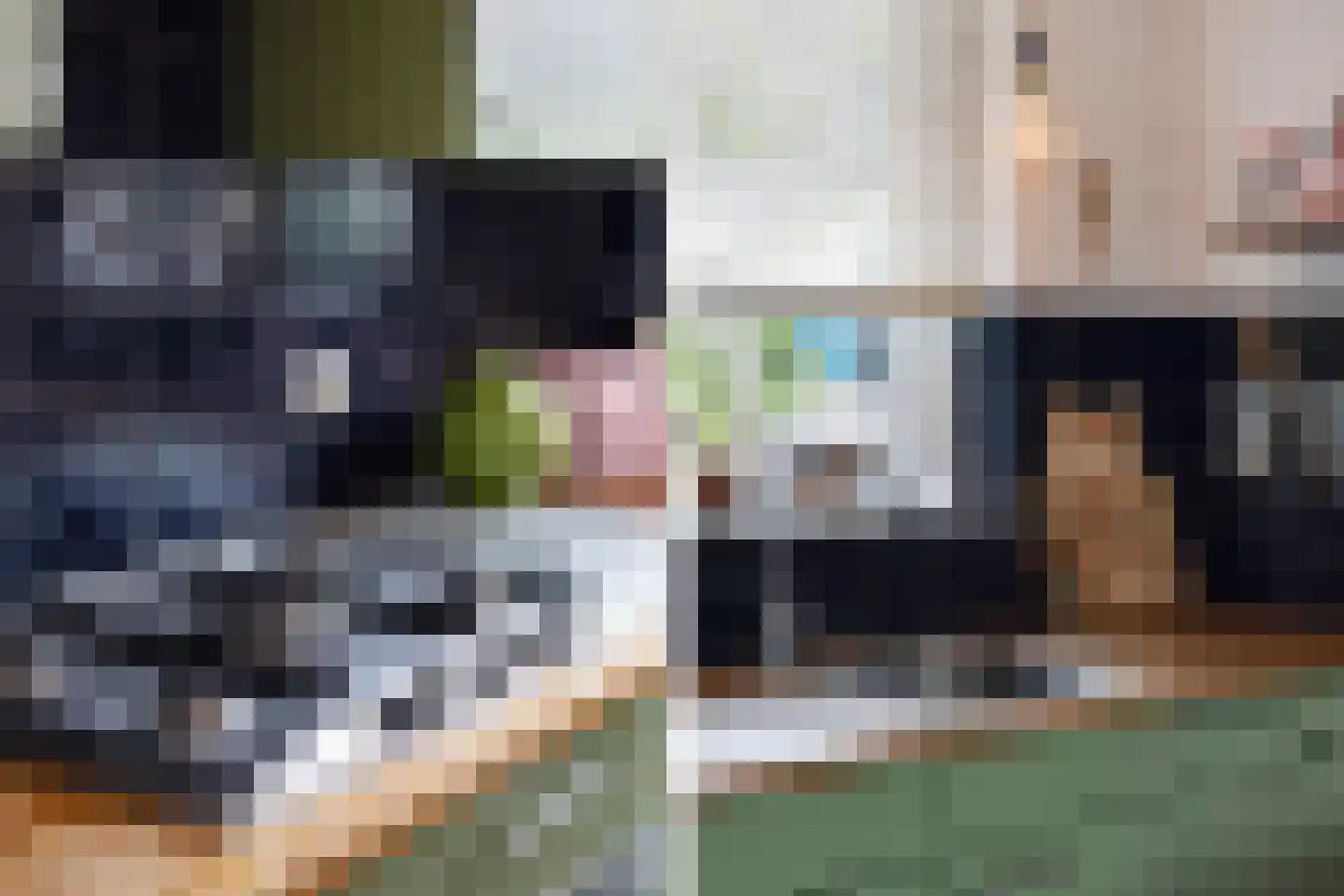 Het Brekkense Wiel 160 Lemmer thumbnail 25