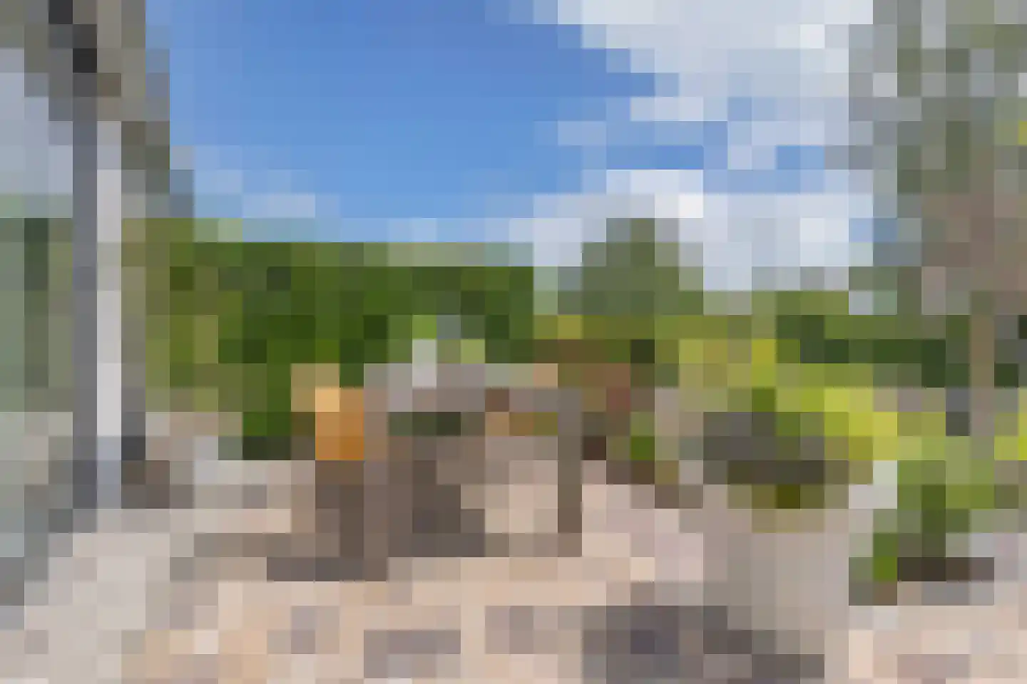 Het Brekkense Wiel 160 Lemmer thumbnail 27