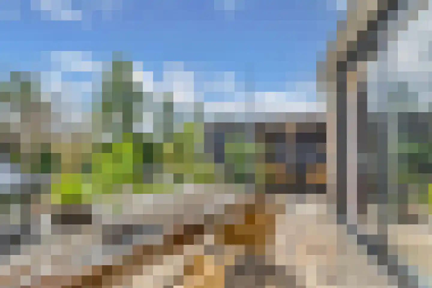 Het Brekkense Wiel 160 Lemmer thumbnail 28