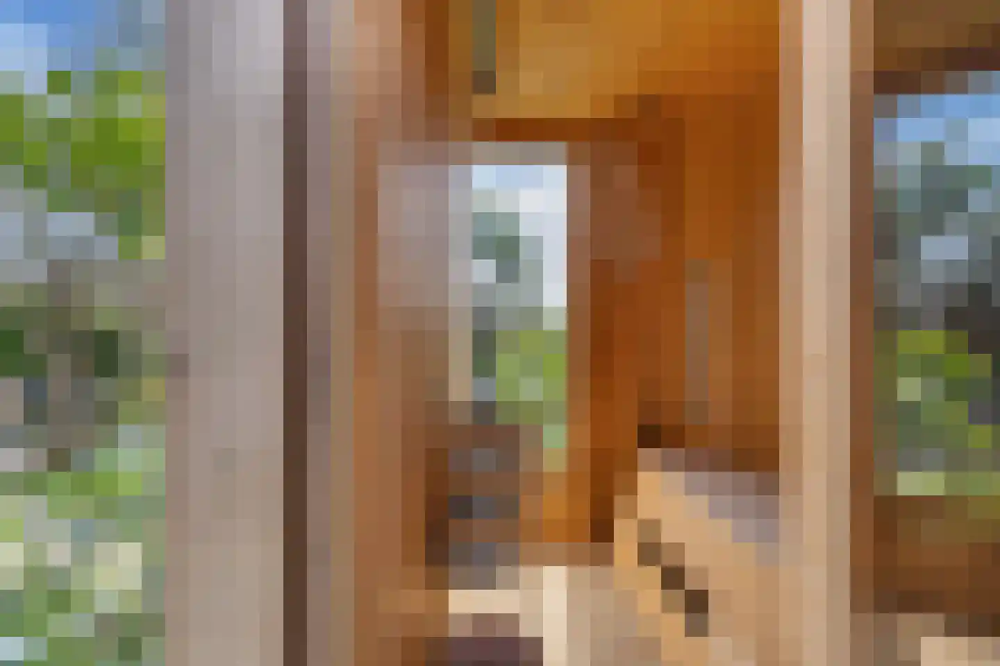 Het Brekkense Wiel 160 Lemmer thumbnail 31