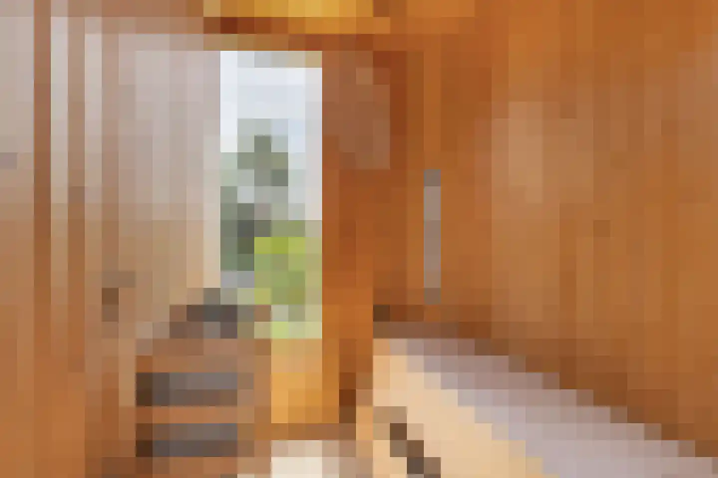 Het Brekkense Wiel 160 Lemmer thumbnail 32