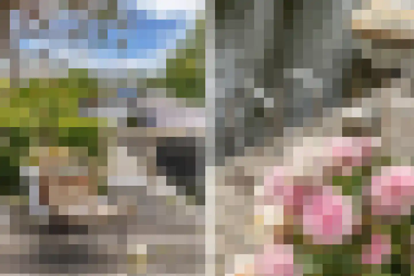 Het Brekkense Wiel 160 Lemmer thumbnail 33