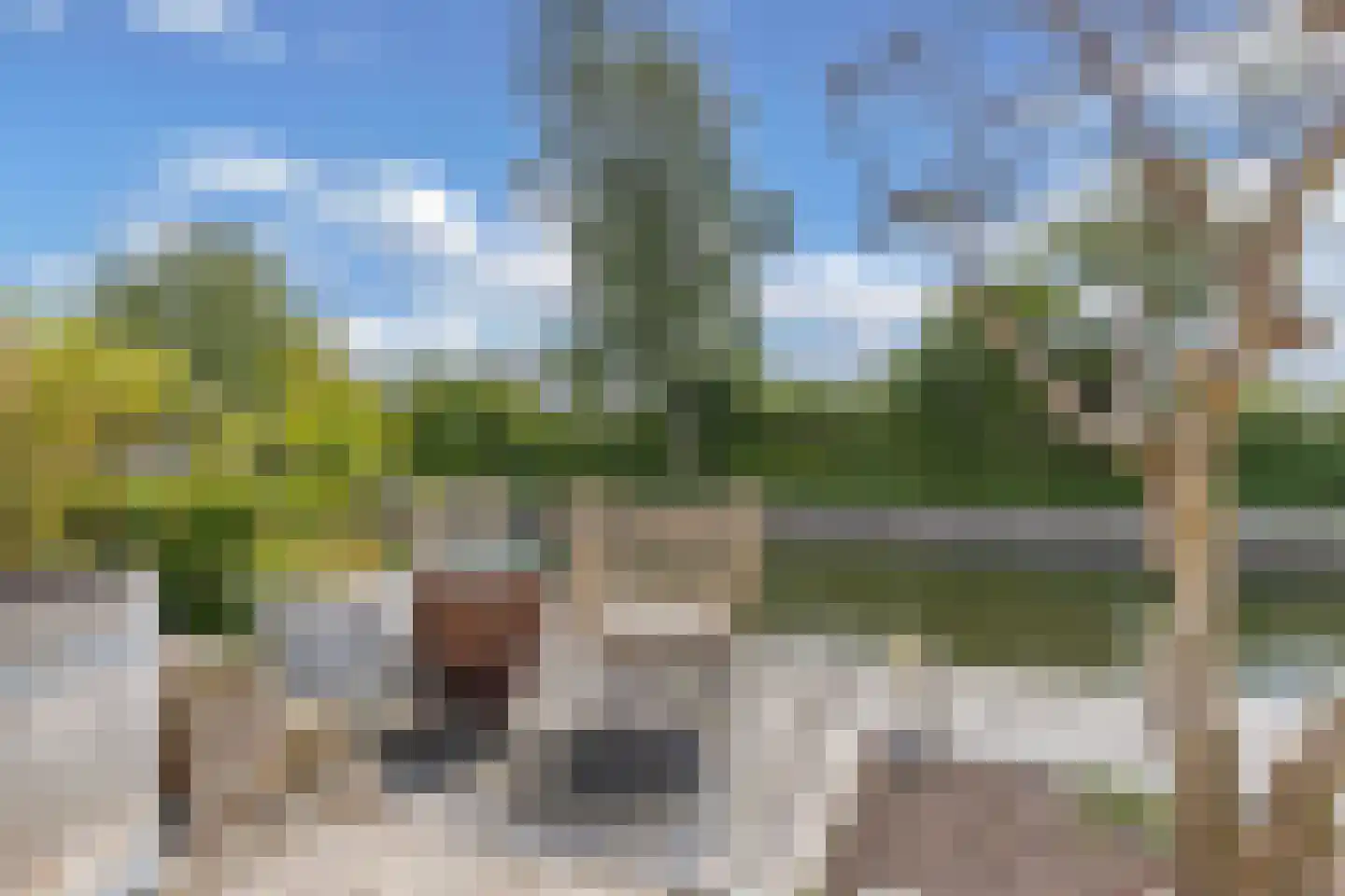 Het Brekkense Wiel 160 Lemmer thumbnail 34