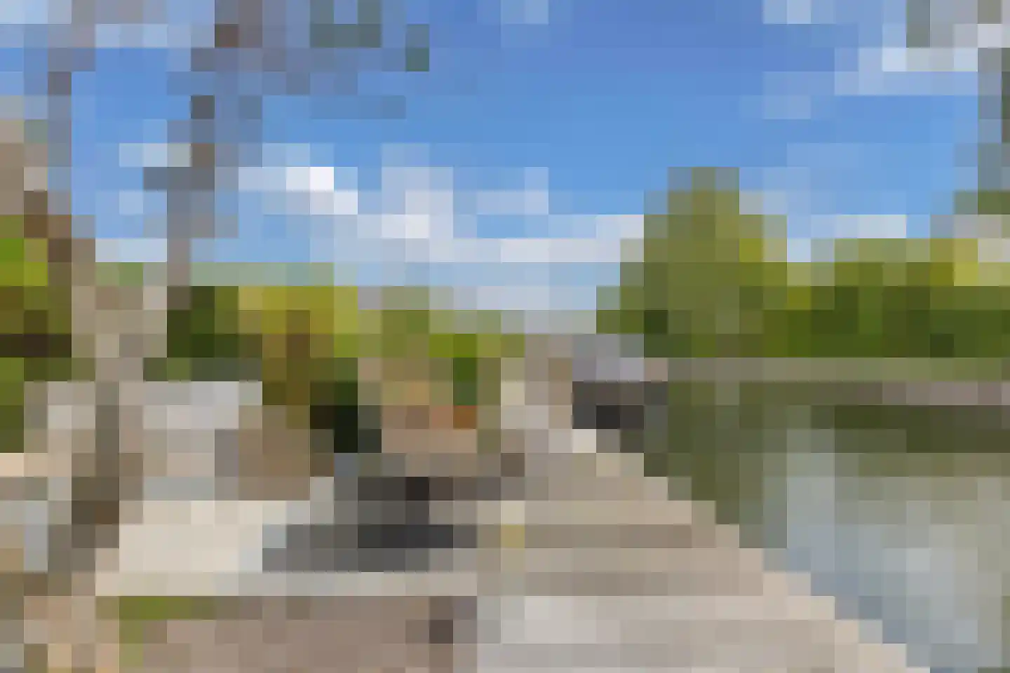 Het Brekkense Wiel 160 Lemmer thumbnail 37