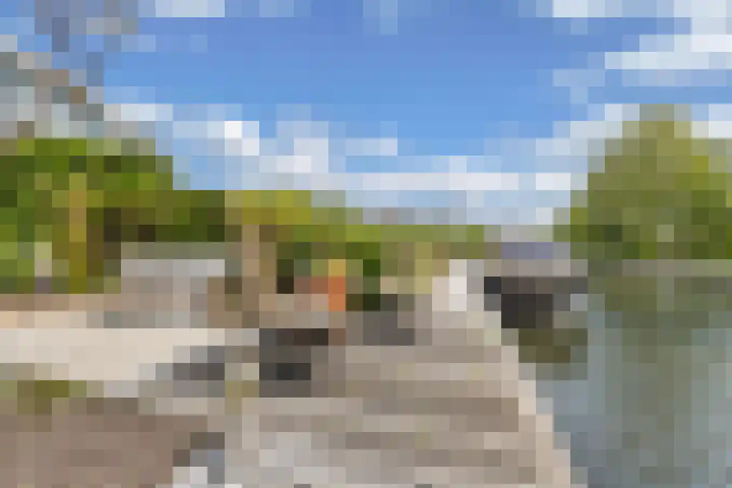 Het Brekkense Wiel 160 Lemmer thumbnail 38