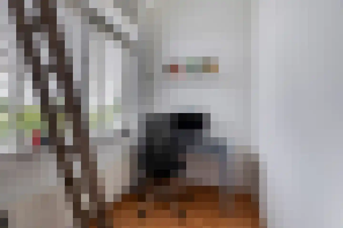 Het Brekkense Wiel 160 Lemmer thumbnail 48