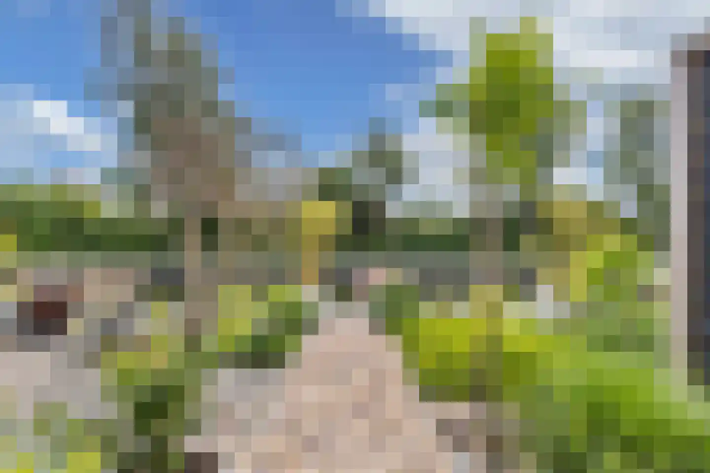 Het Brekkense Wiel 160 Lemmer thumbnail 5
