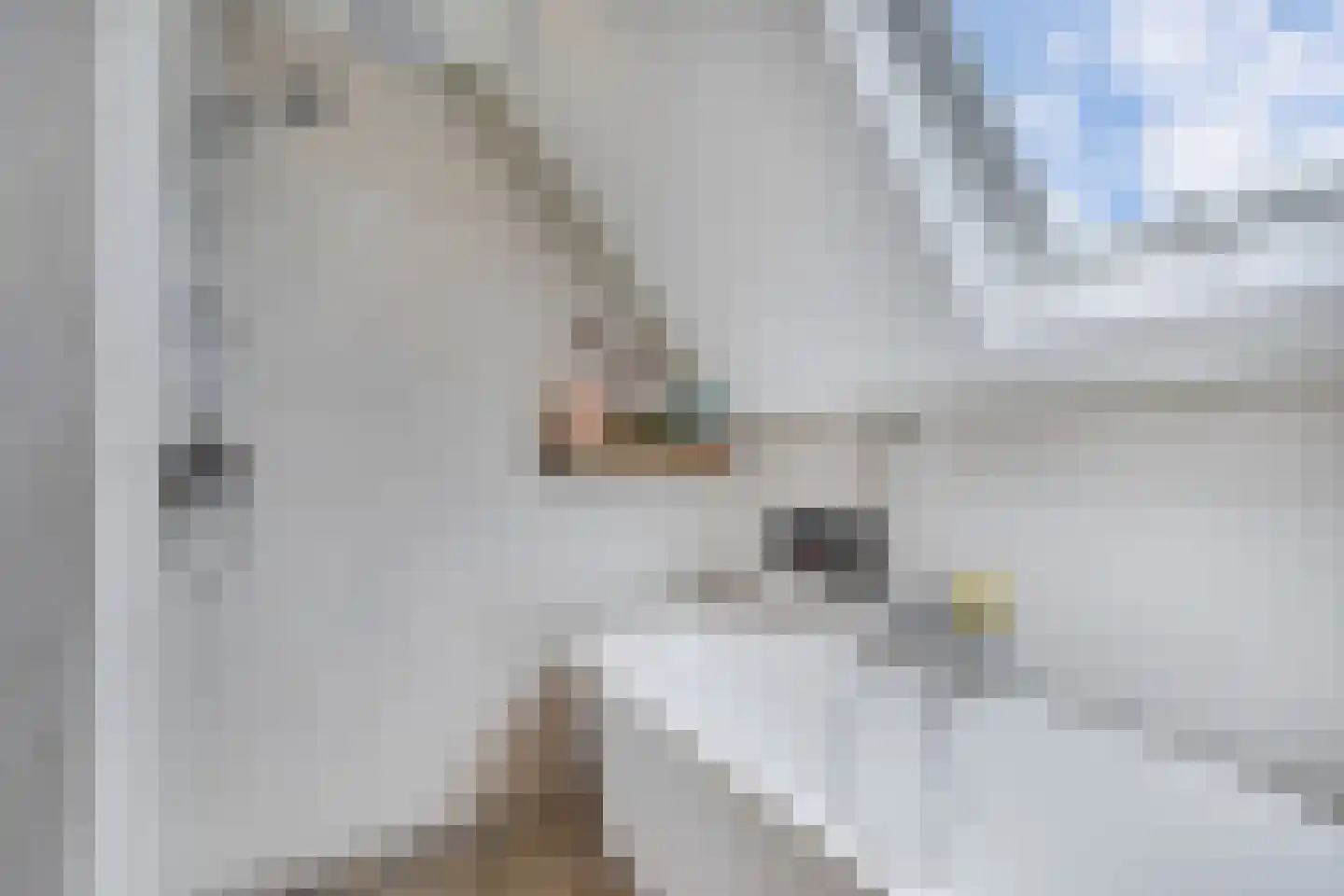 Het Brekkense Wiel 160 Lemmer thumbnail 50