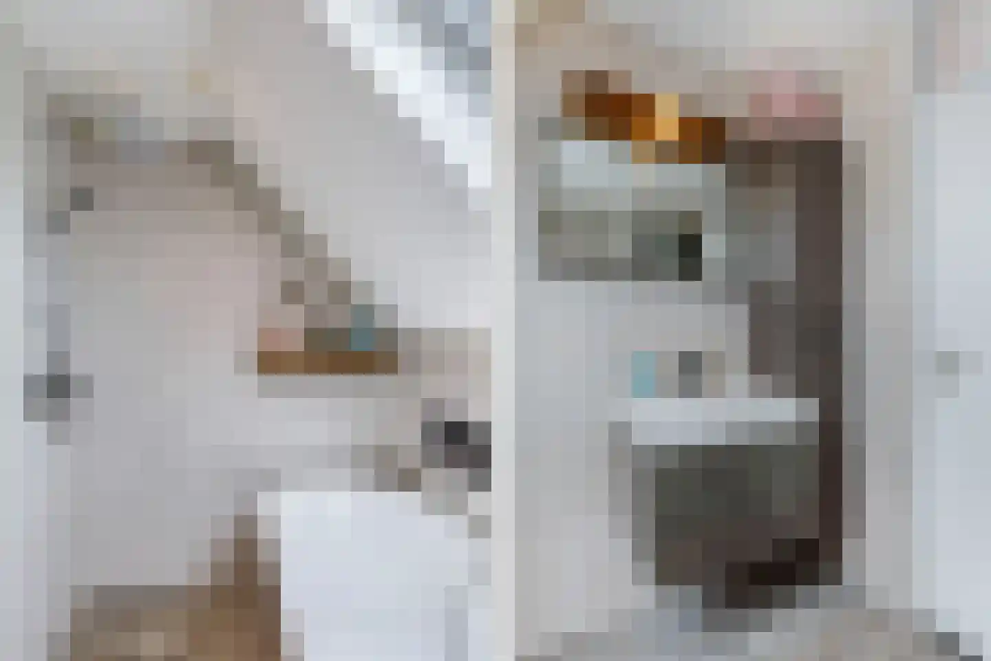 Het Brekkense Wiel 160 Lemmer thumbnail 51