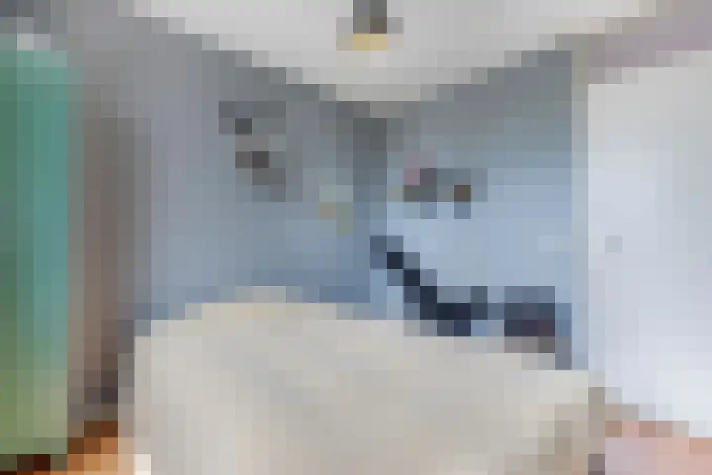 Het Brekkense Wiel 160 Lemmer thumbnail 54