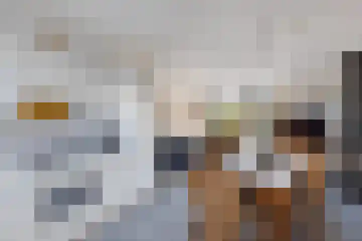 Het Brekkense Wiel 169 Lemmer thumbnail 16