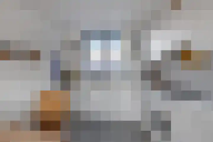 Het Brekkense Wiel 169 Lemmer thumbnail 17
