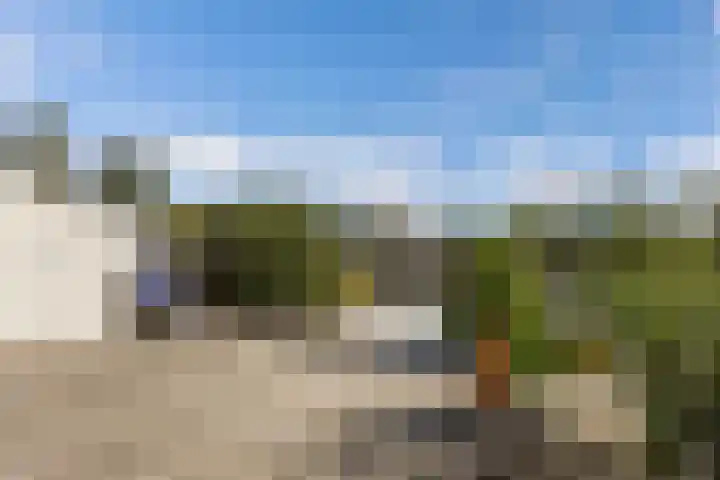 Het Brekkense Wiel 169 Lemmer thumbnail 18