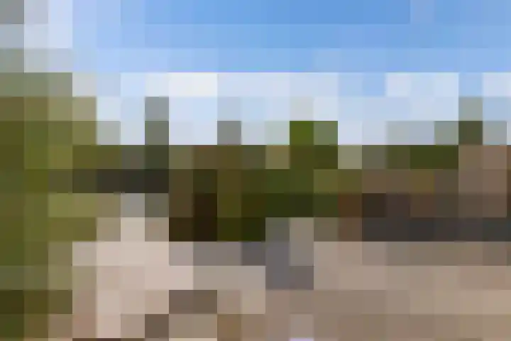 Het Brekkense Wiel 169 Lemmer thumbnail 19
