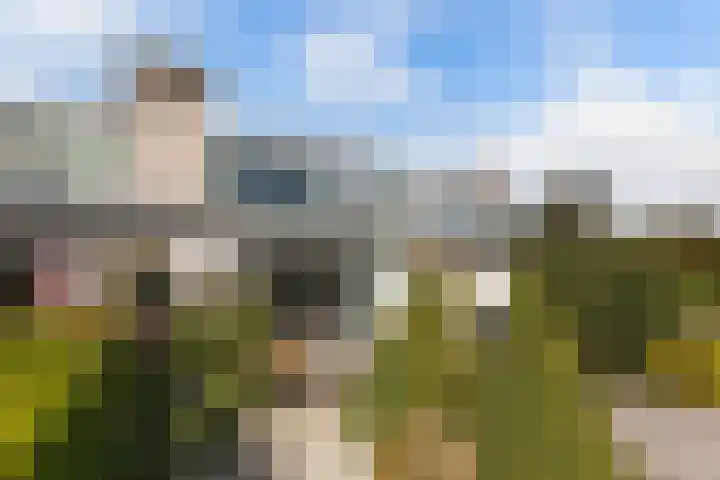 Het Brekkense Wiel 169 Lemmer thumbnail 25