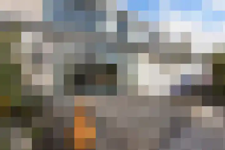 Het Brekkense Wiel 169 Lemmer thumbnail 27