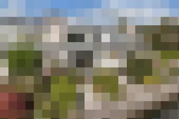Het Brekkense Wiel 169 Lemmer thumbnail 28