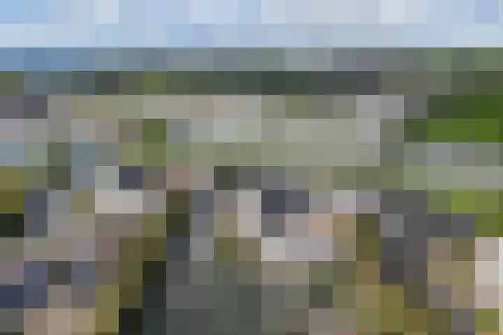 Het Brekkense Wiel 169 Lemmer thumbnail 4