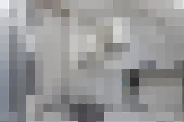 Het Brekkense Wiel 169 Lemmer thumbnail 41