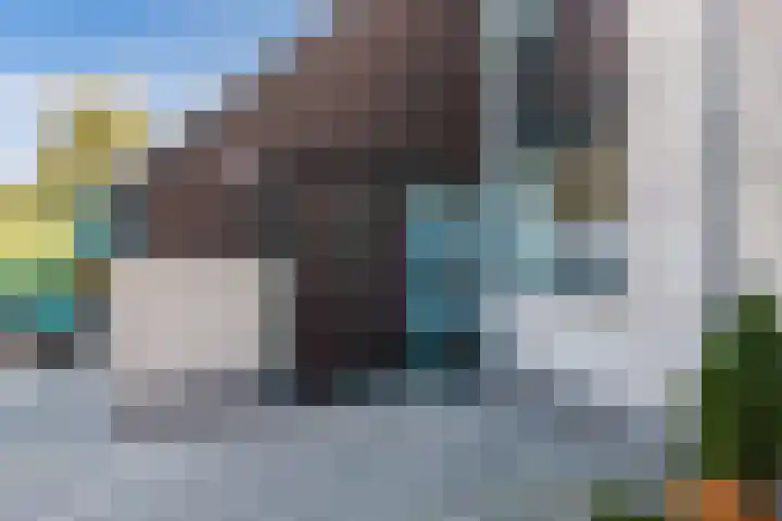 Het Brekkense Wiel 169 Lemmer thumbnail 6