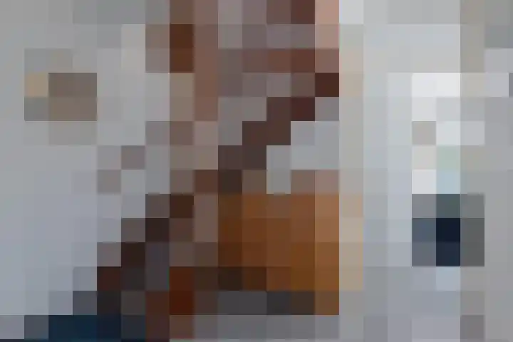 Het Brekkense Wiel 169 Lemmer thumbnail 8