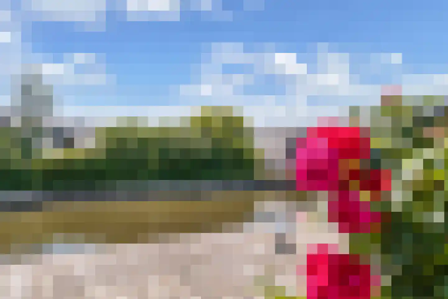Het Brekkense Wiel 174 Lemmer thumbnail 33