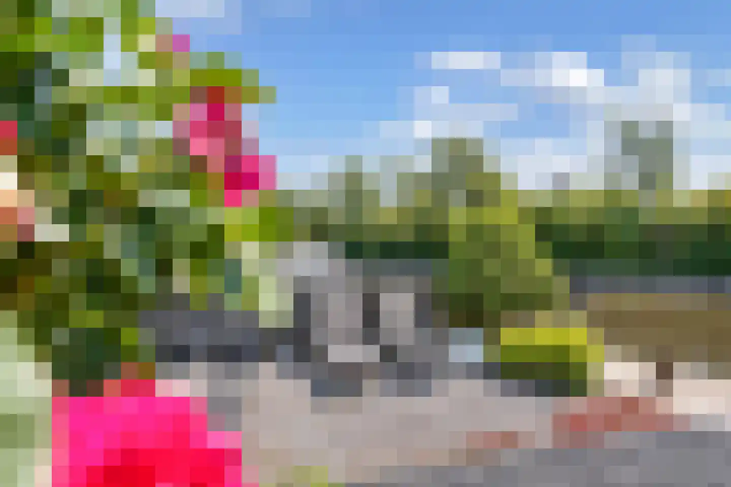 Het Brekkense Wiel 174 Lemmer thumbnail 34
