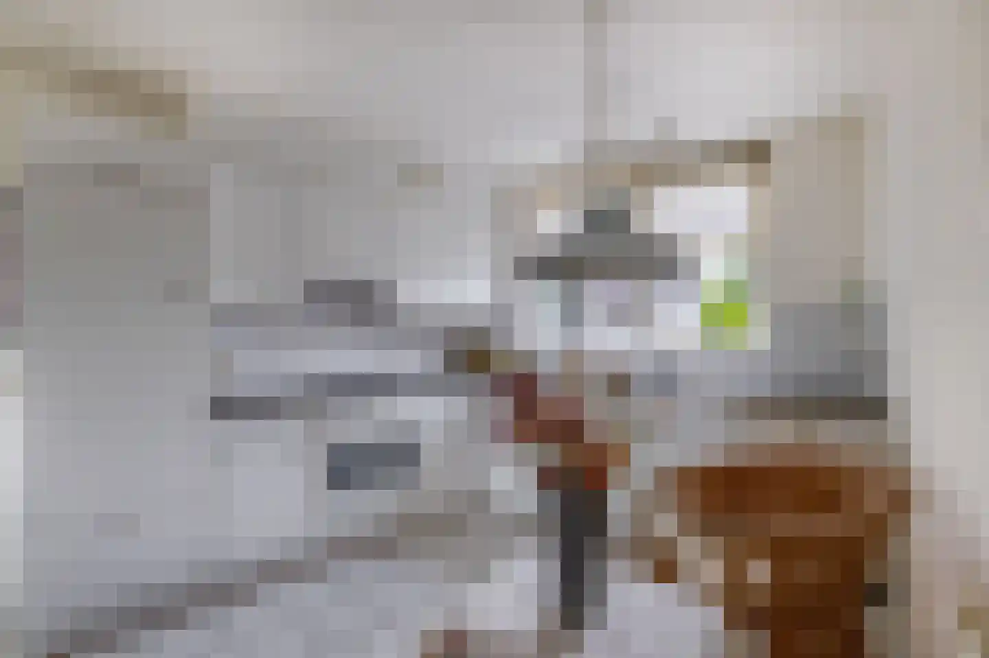 Het Brekkense Wiel 178 Lemmer thumbnail 11