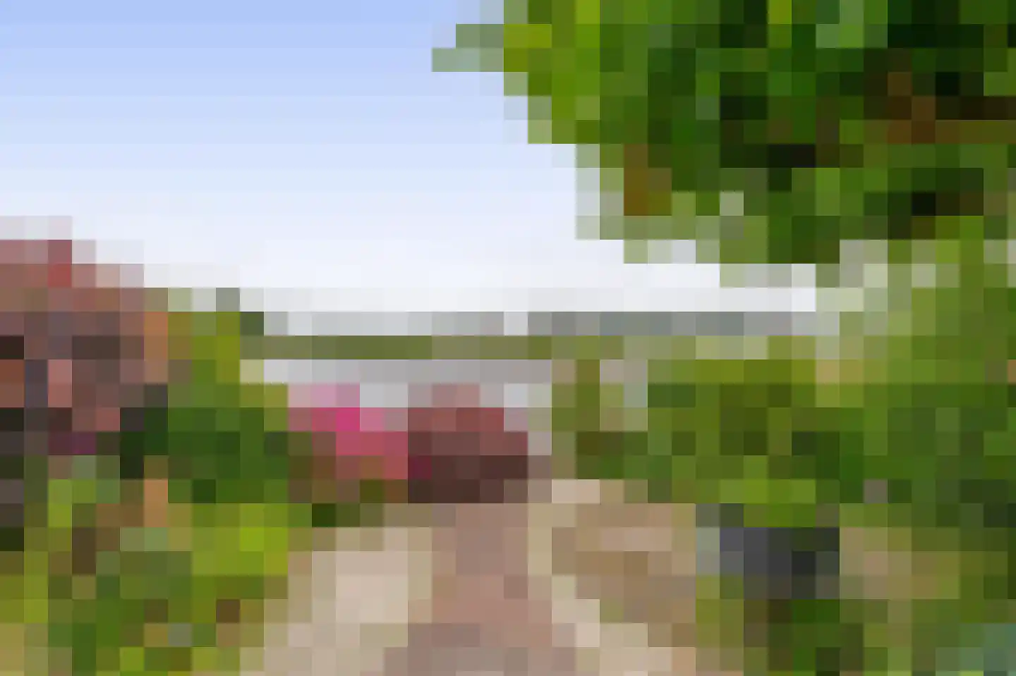 Het Brekkense Wiel 178 Lemmer thumbnail 18