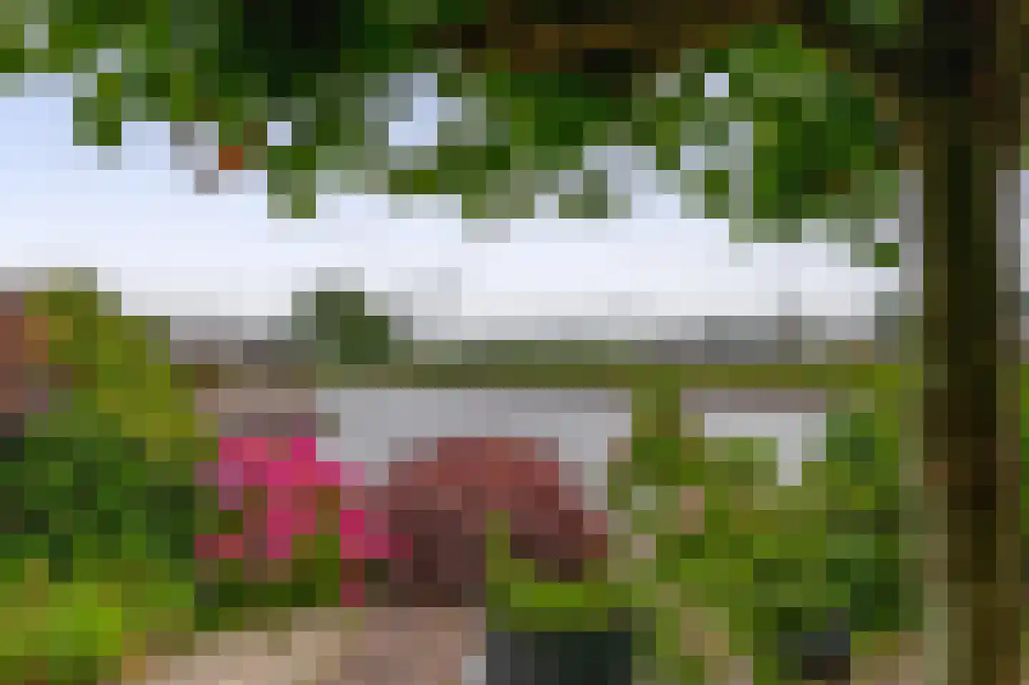 Het Brekkense Wiel 178 Lemmer thumbnail 19
