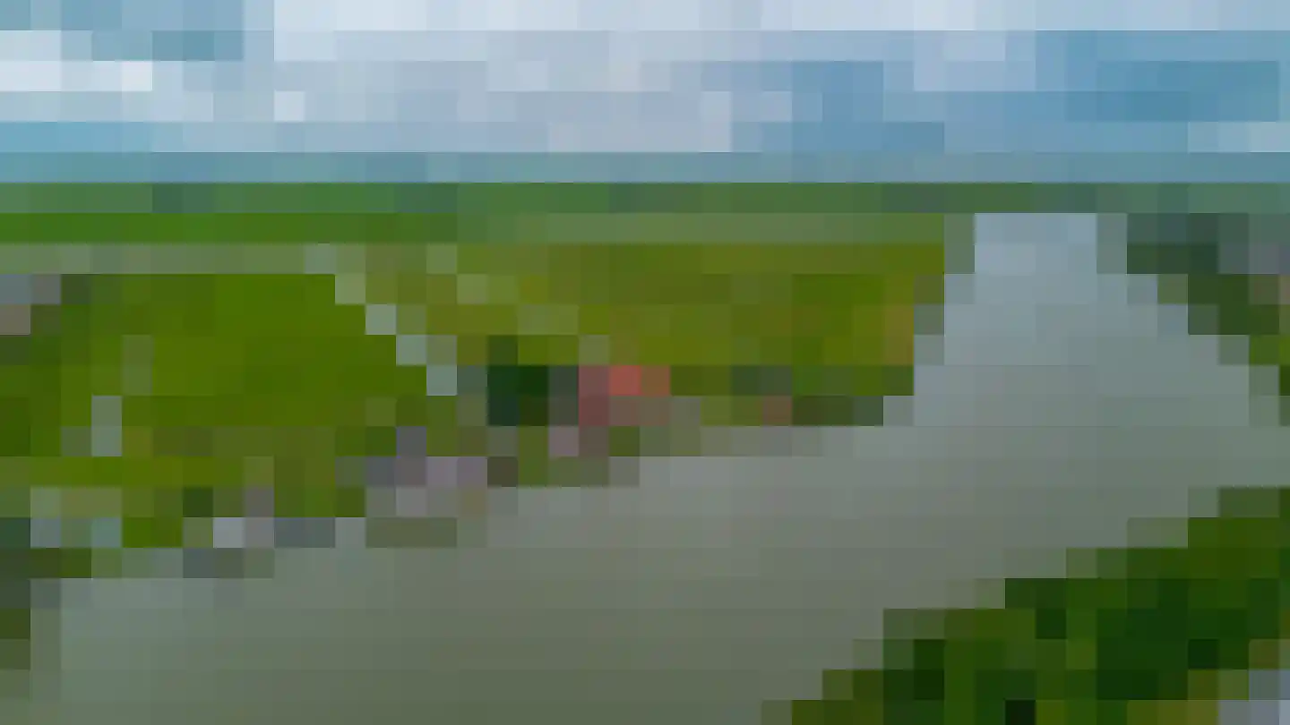 Het Brekkense Wiel 178 Lemmer thumbnail 43