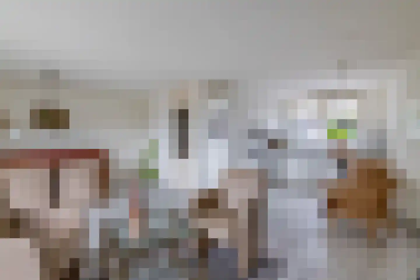 Het Brekkense Wiel 178 Lemmer thumbnail 8