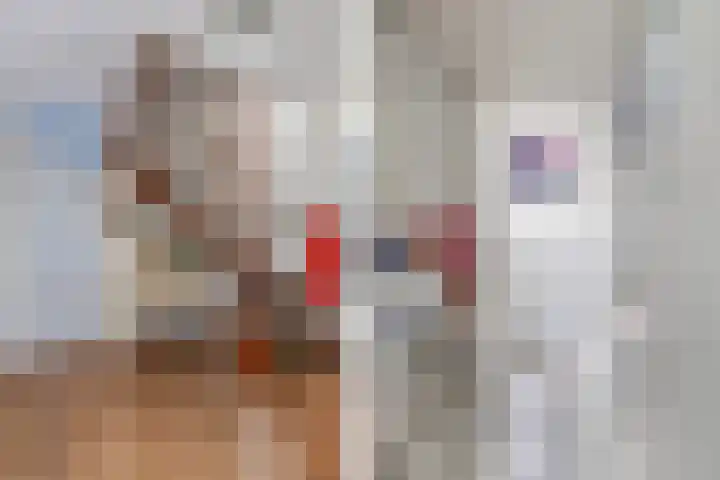 Het Brekkense Wiel 18 Lemmer thumbnail 10
