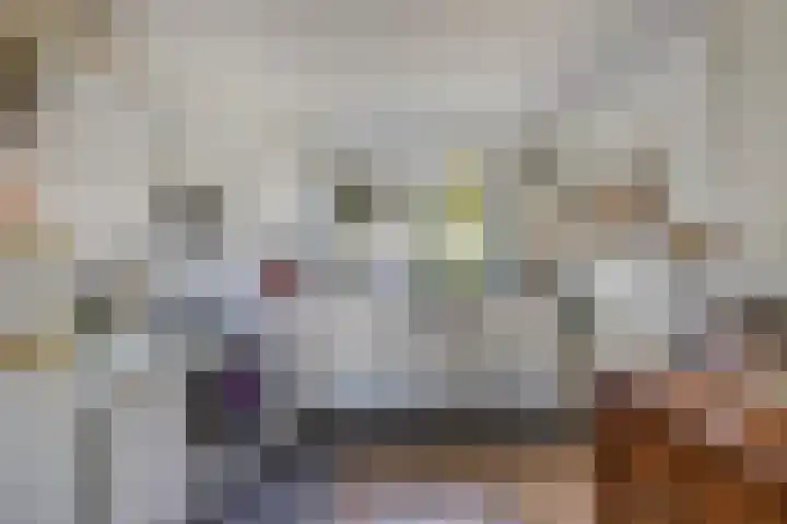 Het Brekkense Wiel 18 Lemmer thumbnail 14